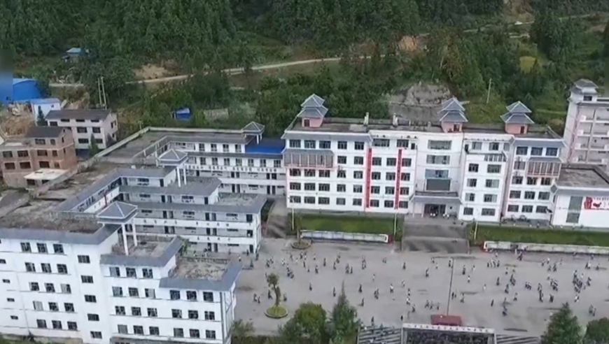 新澳开奖结果历史数据,山东东平重大道路交通事故调查报告,精准解释落实及其象征意义_标清版V11.25